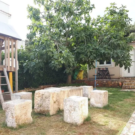 Studio Apartman Splash Pjescana Uvala Exterior photo